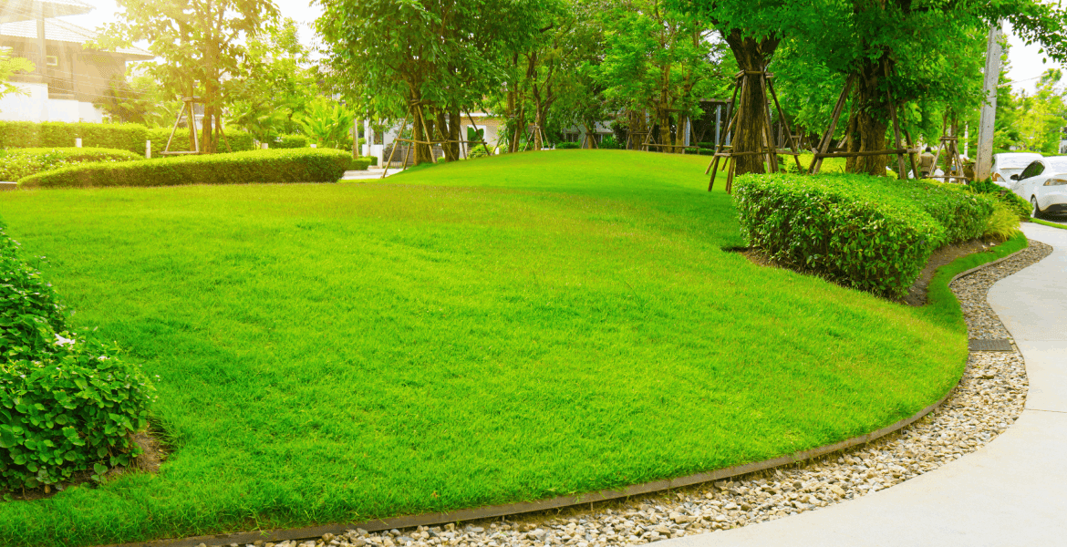Sterling Silver Turf and Terrain